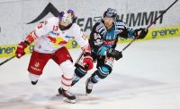 MICHAEL SCHIECHL (EC RBS) UND COREY LOCKE (BLACK WINGS) (C) GEPA HAUER